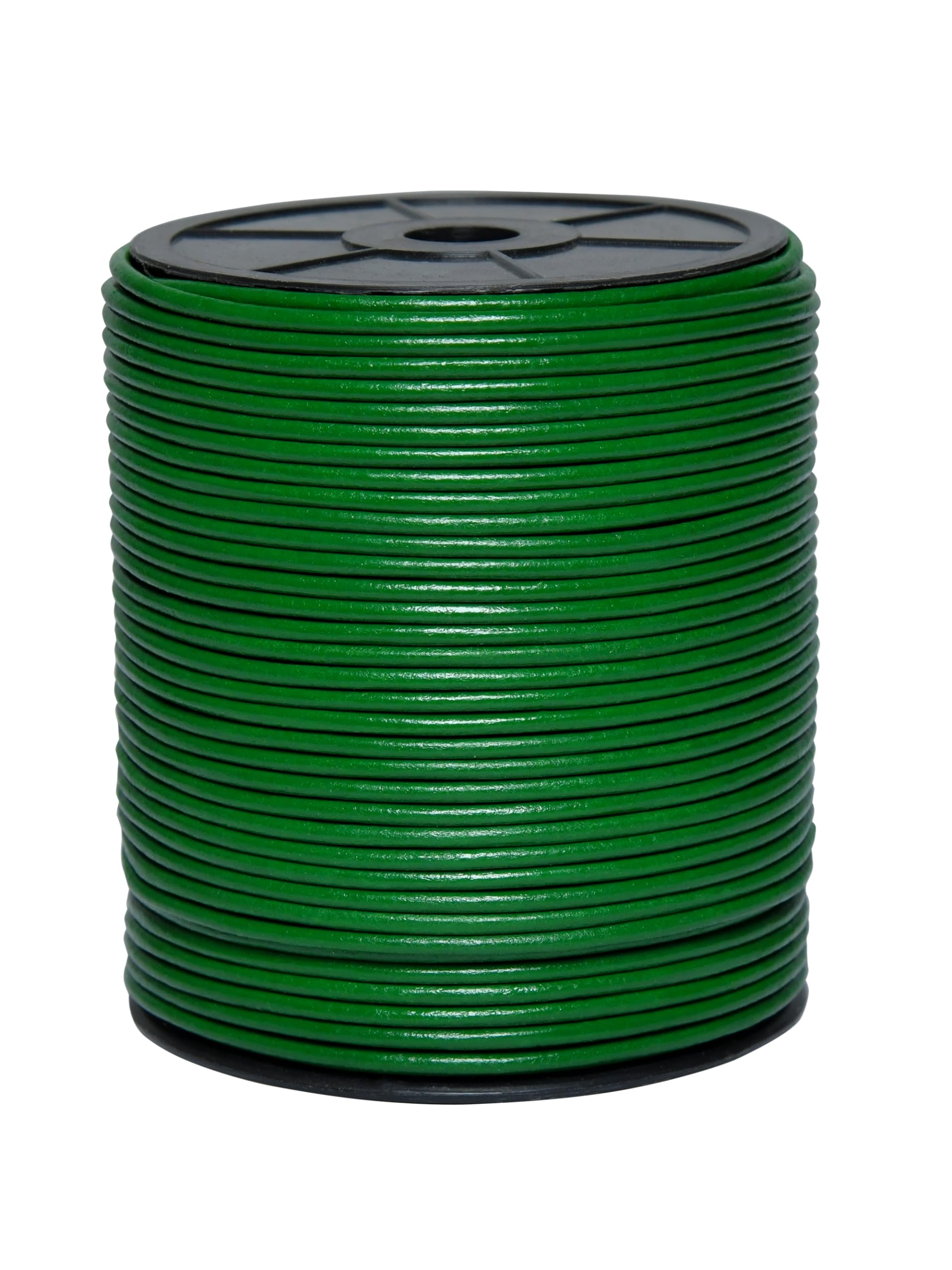 Cords Essentials Round Genuine Leather String Cord, Rope for Jewelry Making, Necklaces, Bracelets, Kumihimo Braiding, Wraps, Crafts and Hobby Projects (Light Green, 3.0 MM)