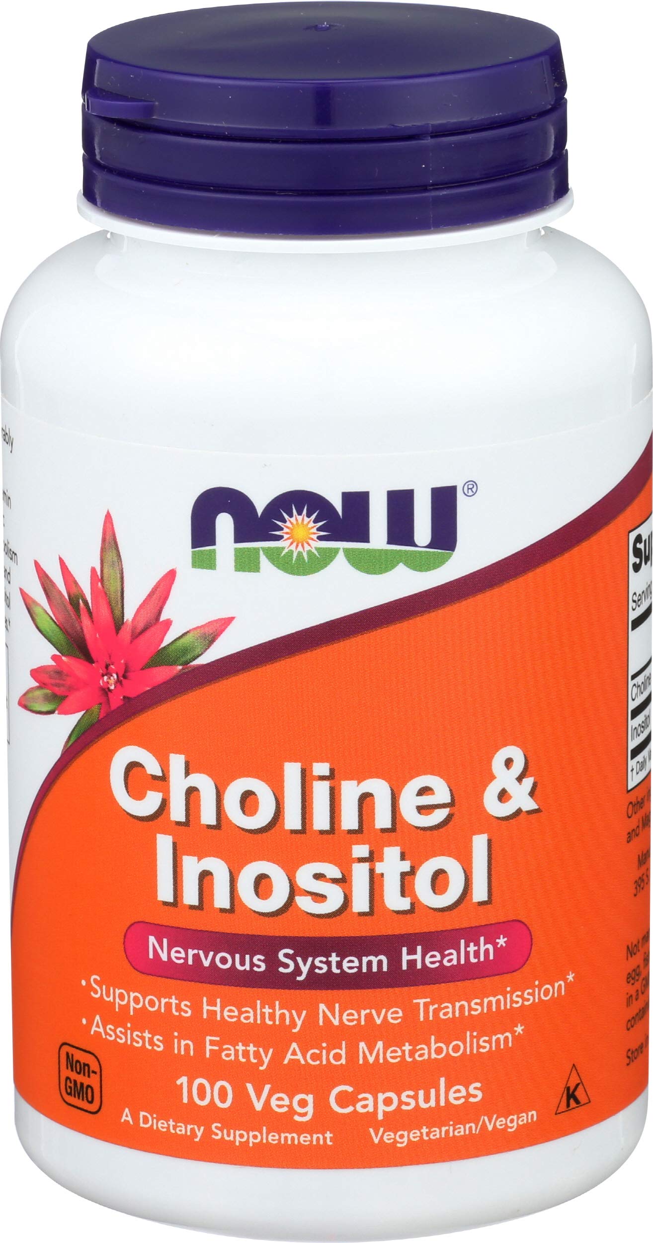 NOW Choline and Inositol 500mg, 100 Capsules (Pack of 2) Buy Online