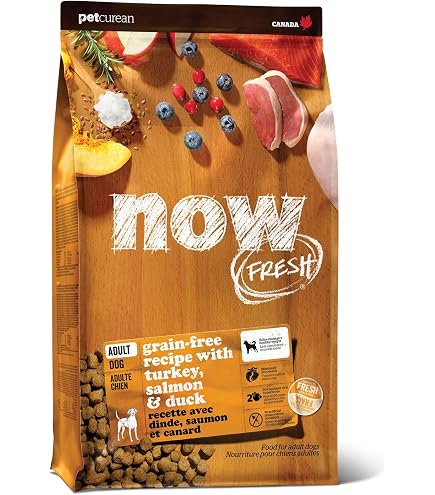 Amazon.com: Now Fresh Large Breed Dry Dog Food, Turkey, Salmon