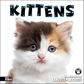 RED EMBER Kittens 2027 Wall Calendar 12 Month | 12" x 24" Open | Thick &amp; Sturdy Paper | Cute Kitten Cat Calendar 2027