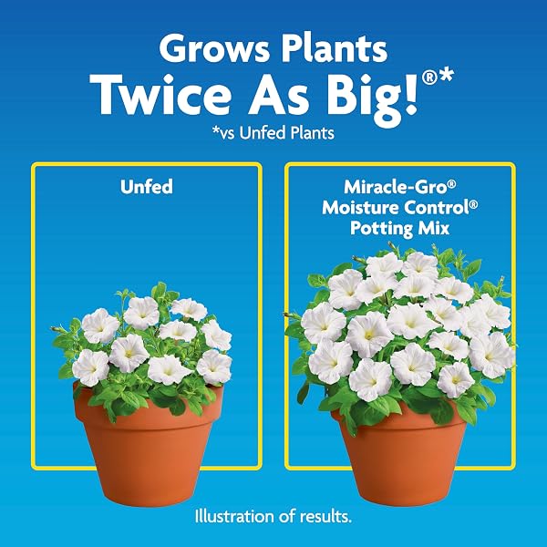 MIRACLE-GRO MOISTURE CONTROL POTTING MIX – PLANT SOIL FOR CONTAINER PLANTS, PROTECTS AGAINST OVER- AND UNDER-WATERING, 8 QT. (2-PACK)