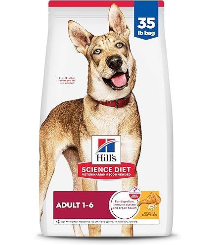 ダンデライオンHill’s SCIENCE DIET Amazon.com: Hill's Science Diet Adult 1-6 Dry Dog Food, Salmon