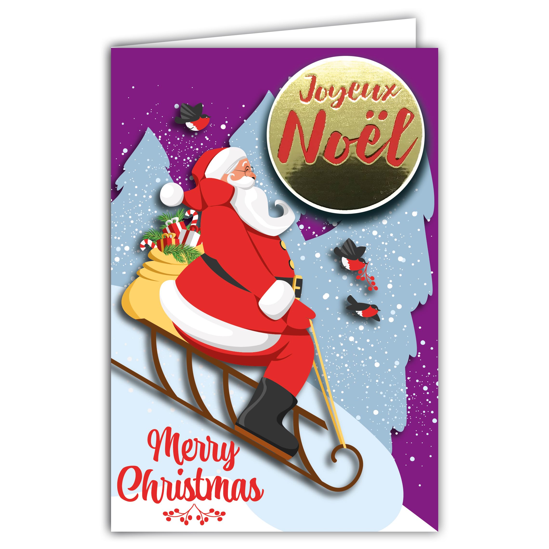 Merry Christmas Card Embossed Collage Glossy Text with White Envelope 12 x 17.5 cm – Santa Sledge Hood Gifts Birds Robins Tree Under Snow Winter Best Wishes for Child Family