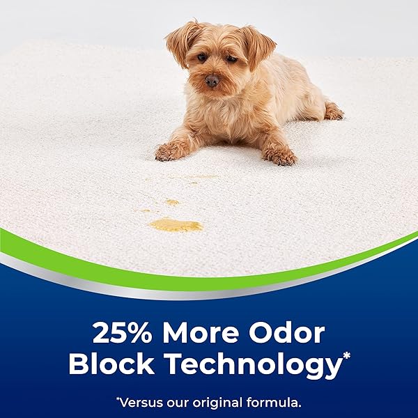 BISSELL WOOLITE ADVANTAGE HEAVY TRAFFIC CARPET FOAM 4 PACK, 3320
