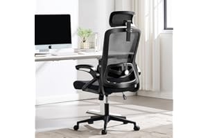 Fizzin Office Chair 400 LBS, High Back Ergonomic Computer Chair with Adjustable Lumbar Support & Headrest, Comfy Mesh Desk Ch