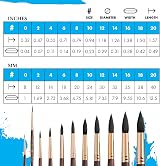 Princeton Artist Brush Neptune Series 4750 Round Synthetic Squirrel Brush Size 2 view 3