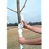 Vinyl Spiral Tree Guard, 2 Feet Long (Set of 5)