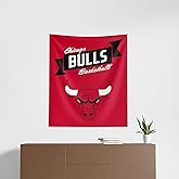 NORTHWEST NBA Chicago Bulls Wall Hanging Tapestry, 34" x 40", Premium