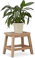 Petit Tabouret En Bois Pour Plantes D'Intérieur - Support Pour Pot De Fleurs - Décoration Jardinage - 4