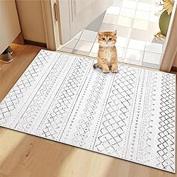 Aoyaomi Geometric Boho Area Rug - 2x3 Washable