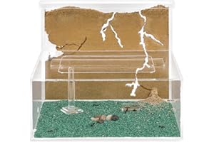 ANTHOUSE Sand Ant Farm L (Formicarium (Anthill, Formicarium, Educational, Ants)