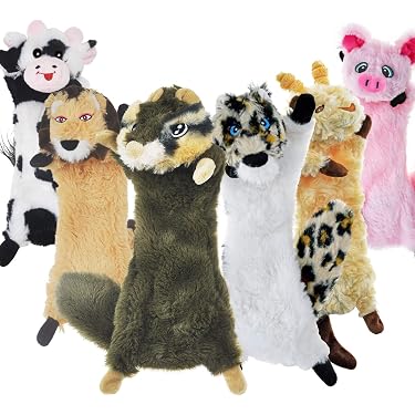 Amazon Best Sellers: Best Dog Squeak Toys