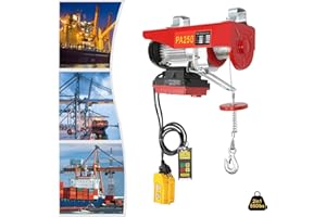 ZESTARDAIR 550lbs Electric Hoist Winch Electric Winch with Wireless Remote Control & Single/Double Slings 110V Automatic Lift Electric Cable Hoist for Garage, Shop, Hotel, Home