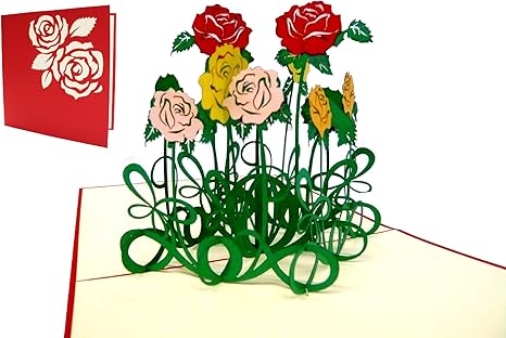 Lin Pop Up Biglietti D Auguri Biglietti Di Ringraziamento Di Buona Guarigione Biglietti Di Compleanno Madre Di Auguri Di Compleanno Disegno Di Rose Cespuglio Amazon It Cancelleria E Prodotti Per Ufficio