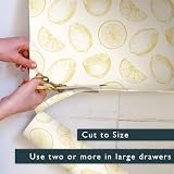 The Master Herbalist Unscented & Wipe Clean Drawer Liners Lemons Design 60x42cm view 7