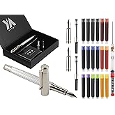 YICMY Fancy Fountain Pen Set – Fine & Medium Nibs, Includes 18 Ink Cartridges, Ink Converter, Syringe Filler, Luxury Gift for Writing, Journaling & Calligraphy，Silvery
