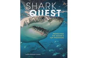 Shark Quest: Protecting the Ocean's Top Predators