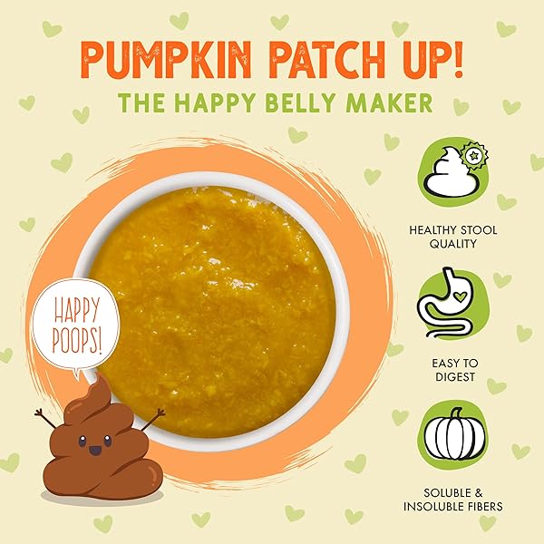 WERUVA PUMPKIN PATCH UP!, PUMPKIN PUREE PET FOOD SUPPLEMENT FOR DOGS & CATS, 2.80OZ POUCH (PACK OF 12)