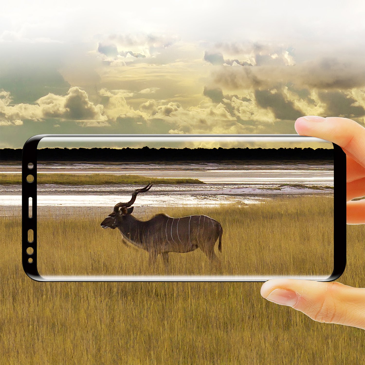 Panzerglas Schutzfolie für Samsung Galaxy S9 Vollständige Abdeckung Displayschutzfolie 3D Anti-Kratzer Samsung S9 Gehärtetem Glas 9H Kristall-Klar Schutzfolie für Galaxy S9 (2 Stück, Schwarz)