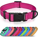 Joytale Feather-Light Dog Collar for Small Dogs &amp; Puppies, 5/8", Hotpink | Soft Nylon Webbing, Double-Sided Reflective for Visibility, Adjustable Fit for Growing Puppies, for Comfortable Daily Walks