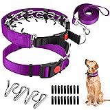 Dog Prong Training Collar, Dog Choke Pinch Collar