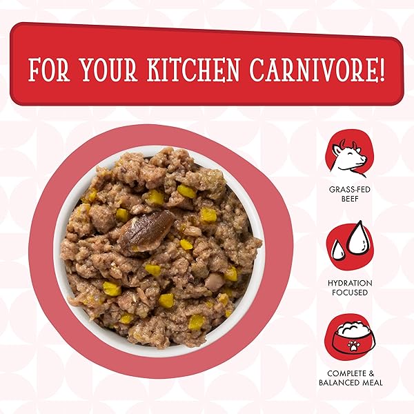 WERUVA DOGS IN THE KITCHEN, THE DOUBLE DIP WITH BEEF & WILD-CAUGHT SALMON AU JUS DOG FOOD, 2.8OZ POUCH (PACK OF 12), RED