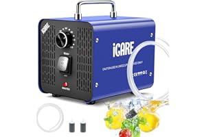 ICARE 45,000mg/h Commercial Ozone Generator with 600mg/h Water Ozone - Smart Air & Water Purifier for Home, Car, Smoke, Pet Odor Removal, Fruit/Vegetable/Meat/Sea Food Cleaning
