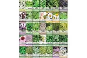 GARDENERS BASICS 35 Medicinal & Culinary Herb Seeds Variety Pack – Heirloom Non-GMO Garden Kit for Indoor, Outdoor, or Greenhouse Growing – Apothecary, Tea & Cooking Herbs – Premium Gift for Gardeners & Homesteaders