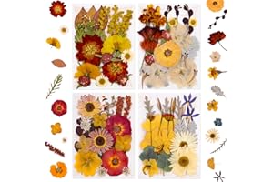 Dried Pressed Flowers for Resin Molds,Real Natural Bulk Dry Floral Leaves，Vacuum Packed Dried Flowers for Crafts,Scrapbooking