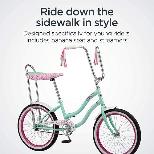 Schwinn Hazel Kids Bike, For Girls and Boys Ages and Up, 20-Inch