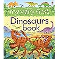My Very First Dinosaurs Book