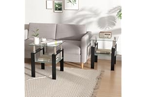 IANIYA 2PCS Modern Glass End Table, 2-Tier Side Table with Tempered Glass Top & Metal Legs, Night Stand Corner Table for Living Room, Bedroom