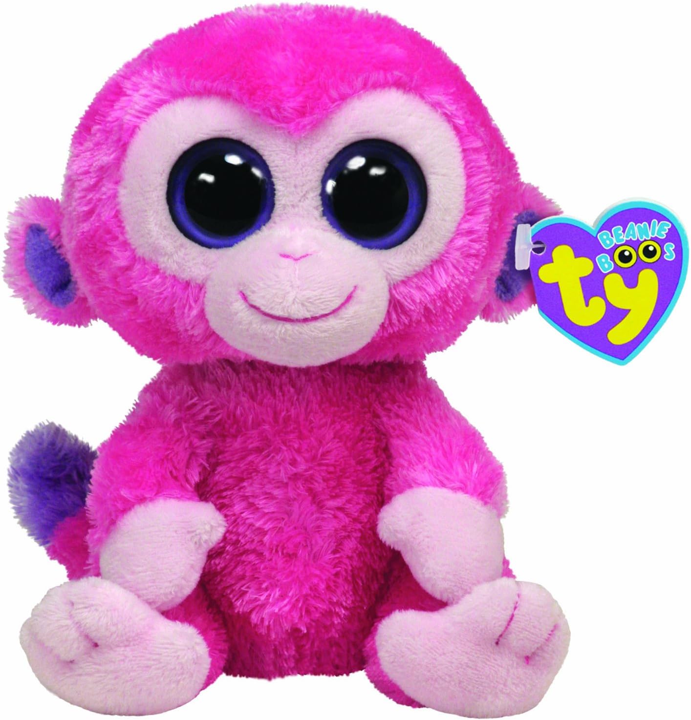 papillon breeders near me