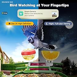 Viubird Bird Feeder with Camera Solar Powered