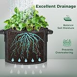 T4U 5-Pack 10 Gallon Fabric Grow Bags Heavy Duty with Handles view 4