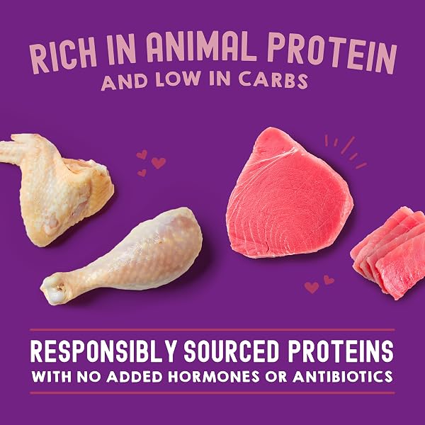 STELLA & CHEWY’S CARNIVORE CRAVINGS WET CAT FOOD – PREMIUM POUCHES – GRAIN FREE, HIGH PROTEIN CHICKEN & TUNA – PERFECT FOR PICKY EATERS – COMPLETE MEAL OR TOPPER (2.8 OZ, 12 PACK)