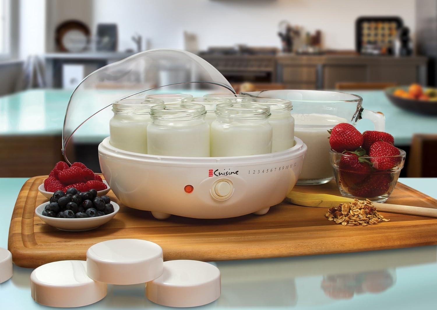 Euro Cuisine YM80 Yogurt Maker, White: Kitchen & Dining