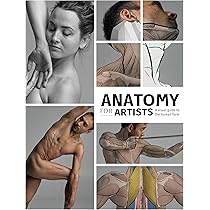Anatomy for the Artist: Simblet, Sarah: 8601410866938: Books
