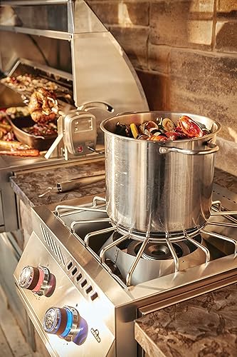 Napoleon Stainless Steel Built-in 700 Series Power Burner