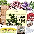 5 Types Bonsai Tree kit - Bonsai Starter Tools Set with Soil, Pots, Scissor, Plant Makers, Grow Tree Indoor, Beginner Plant Gifts for Home Garden, Women, Men
