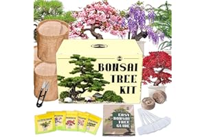 EQUSYM 5 Types Bonsai Tree kit - Bonsai Starter Tools Set with Soil, Pots, Scissor, Plant Makers, Grow Tree Indoor, Beginner Plant Gifts for Home Garden, Women, Men