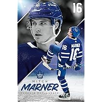 FANMATS NHL Toronto Maple Leafs Nylon Face Starter Rug