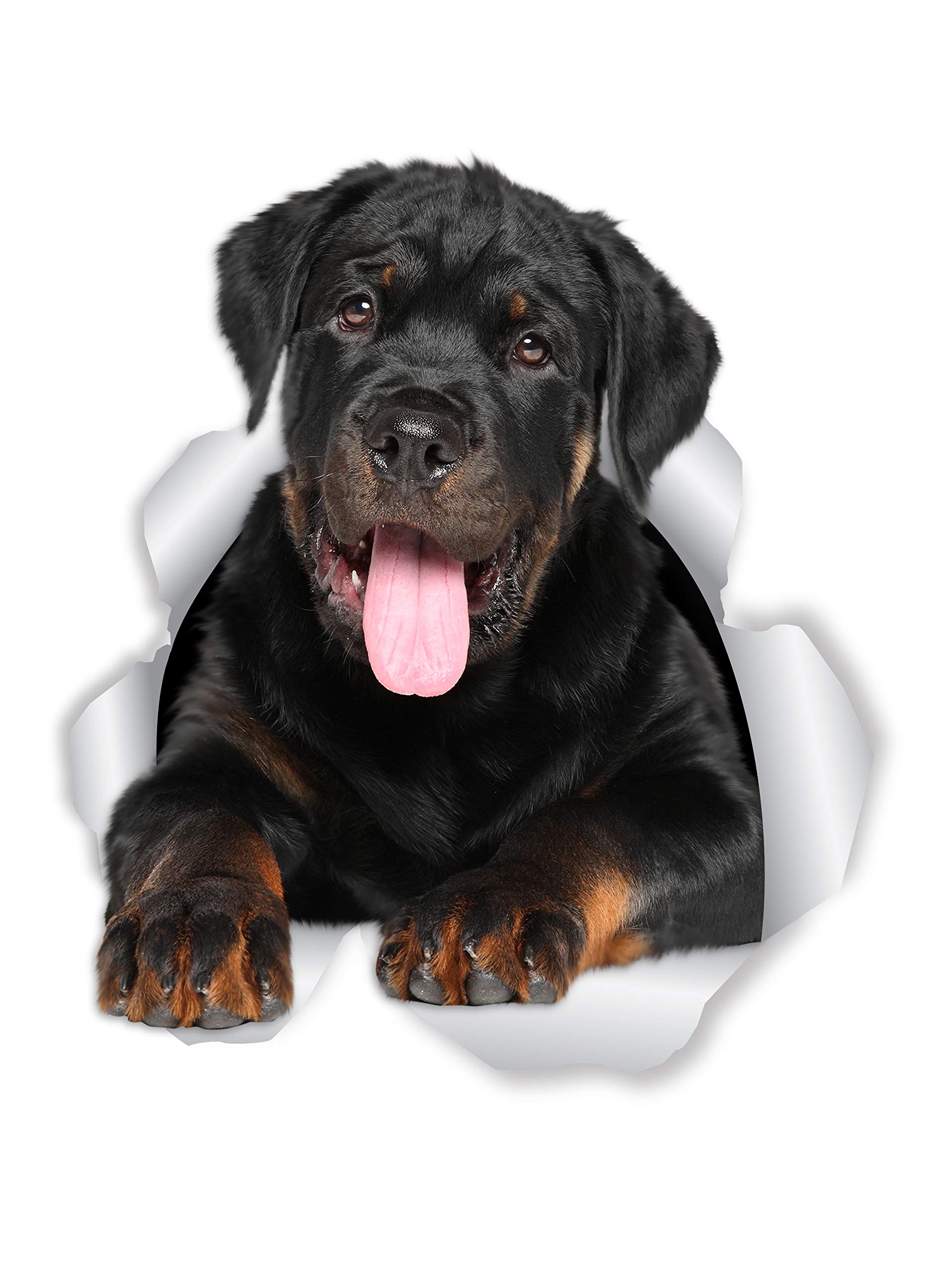 Winston & Bear 3D Friendly Rottweiler Stickers - 2 Pack - Rottweiler Wall Decals - Dog Lover Gifts - Dog Stickers for Bedroom - Fridge - Toilet - Car - Retail Packaged