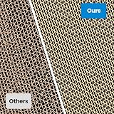 Petslucent Cat Scratching Board 4pcs Corrugated Cardboard Large Lounge Box view 6