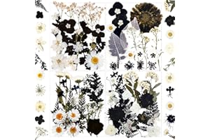 MIKIYA 84Pcs Black Dried Pressed Flowers for Resin Molds, Bulk Real Natural Dry Floral for DIY Art Crafts, Epoxy Jewelry, Candle, Soap Making, Nails Decor, Phone Case