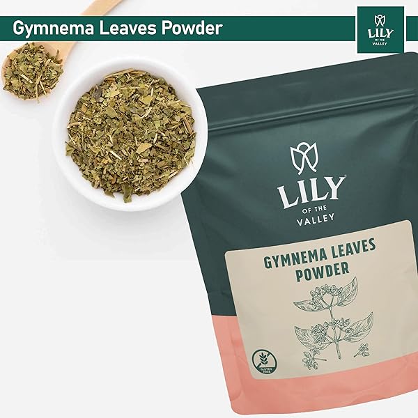 LILY OF THE VALLEY GYMNEMA SYLVESTRE LEAF POWDER – HERBAL GURMAR POWDER – VEGAN & GLUTEN – FREE – PACKED IN RESEALABLE POUCH (16OZ, 453G)
