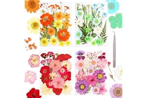 Gvhntk Pressed Flowers Bulk Dried Pressed Flowers for Resin Crafts Real Dry Leaves Natural Herbs Kit with Tweezer for Scrapbooking DIY Art Crafts Candle Making Nails Floral Décor(Bright Color)