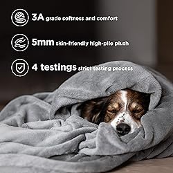 Bedsure GentleSoft Fleece Throw Blanket for Couch