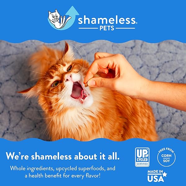 SHAMELESS PETS CELEBRATION BIRTHDAY CRUNCHY CAT TREATS CHICKEN AND CATNIP TREATS WITH DIGESTIVE SUPPORT