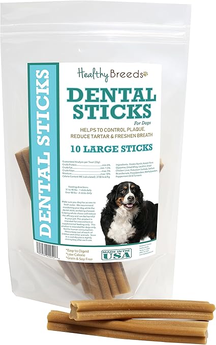 bernese mountain dog supplies